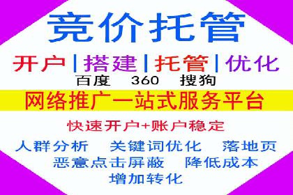 电商行业SEM运营的挑战与成功案例